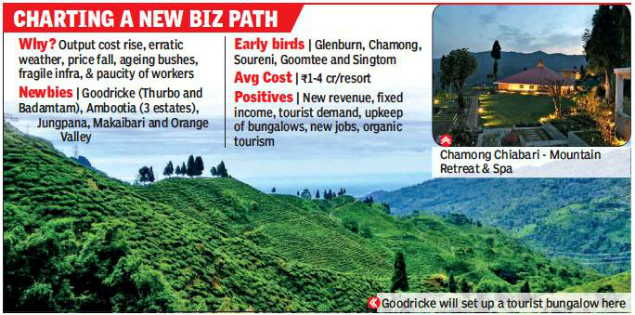 Slump-hit tea estates go big on leisure tourism in Hills"