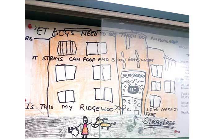 Last month, a poster-making competition about the dangers posed by stray dogs was also organised for kids at DLF Phase IV Poster-(2)