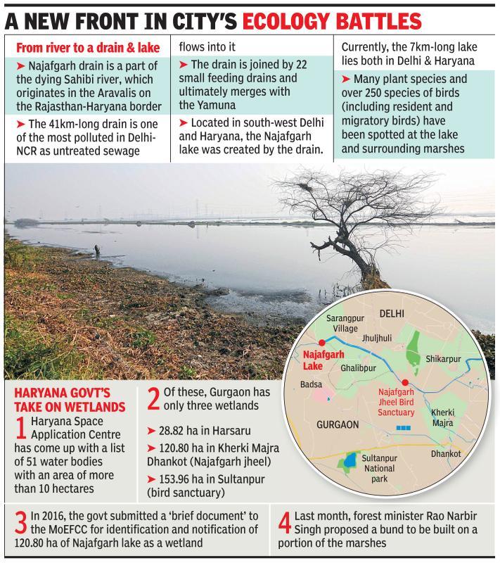 Najafgarh lake to be dammed? Alarm bells ring for wetland, flooding-prone city