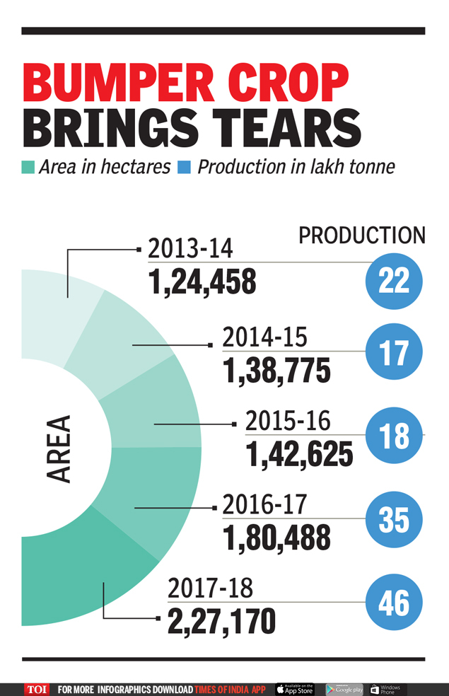 onion supply Root of onion glut Cultivation doubled in 4 years after