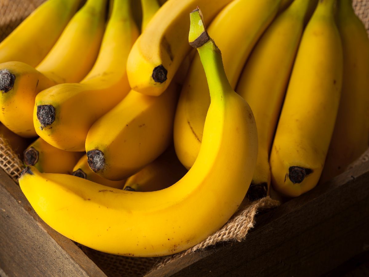 Bt18_fruit_banana