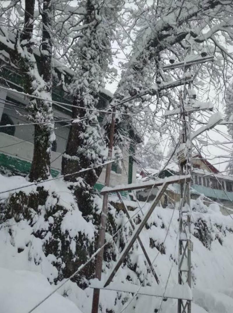 snow2_ED