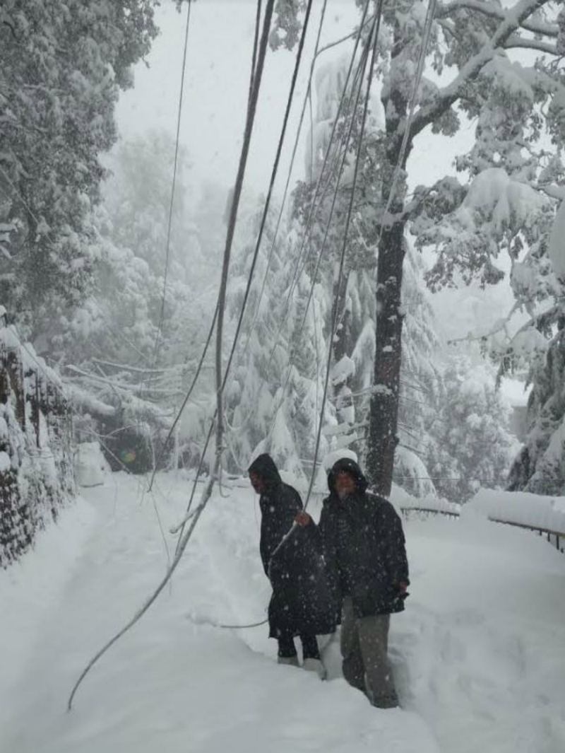 sno10_ED