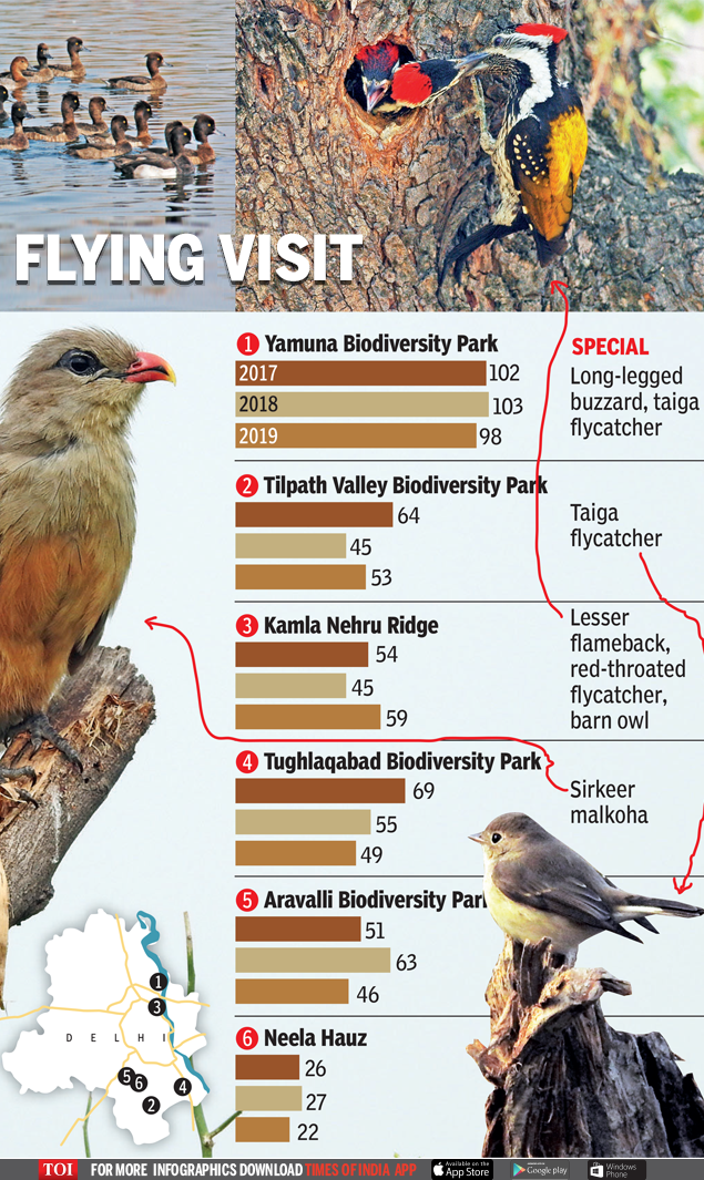 Flying visit