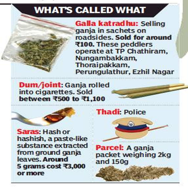 GANJA1