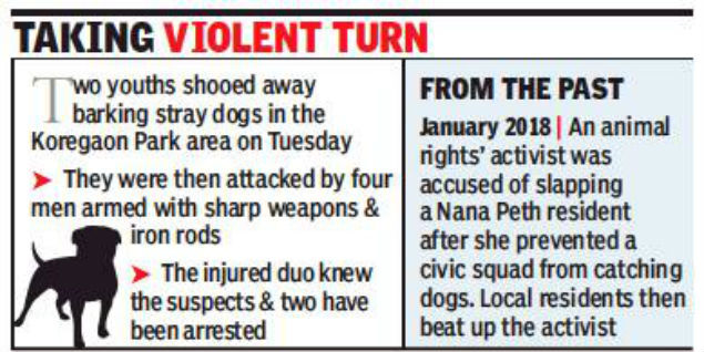 violent