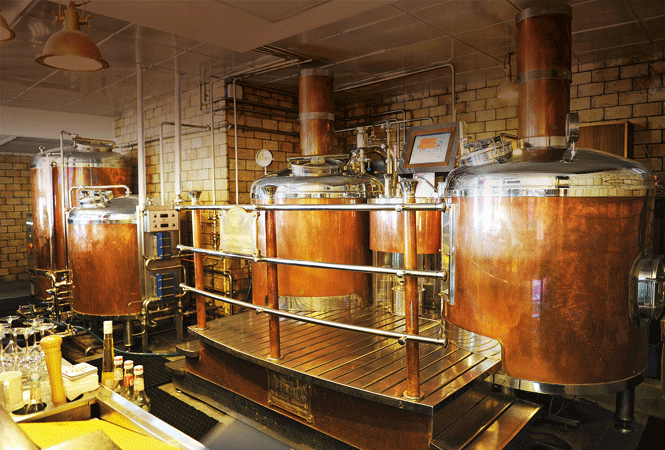 P8-microbrewery1