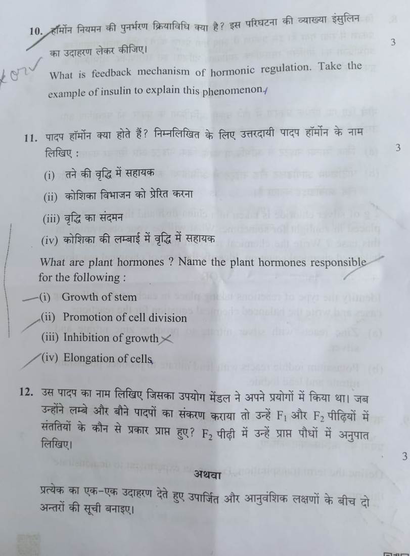 2019 exam 10th paper class 10th class CBSE Question  Paper 2019  Board Times Science