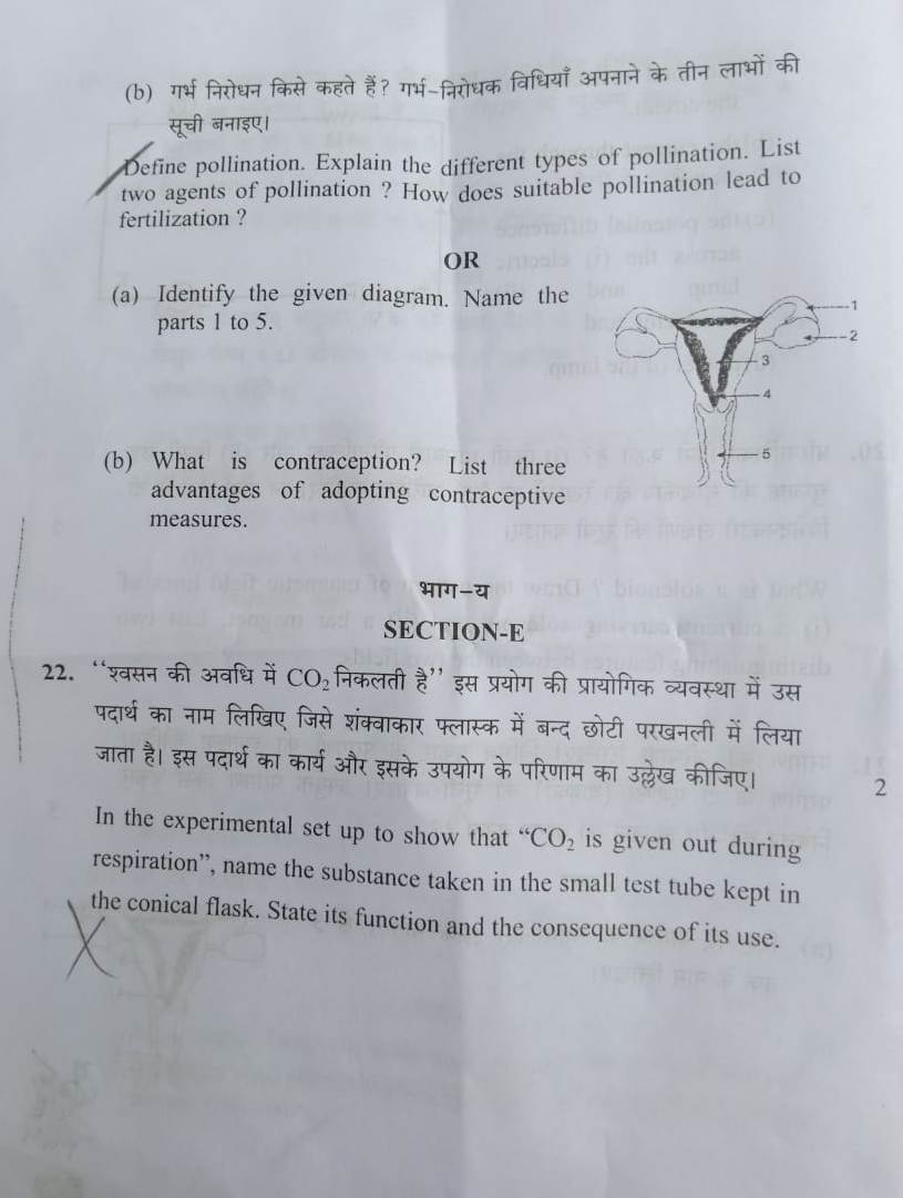 CBSE - Science Board ... class Question Paper 2019 of 10th Times