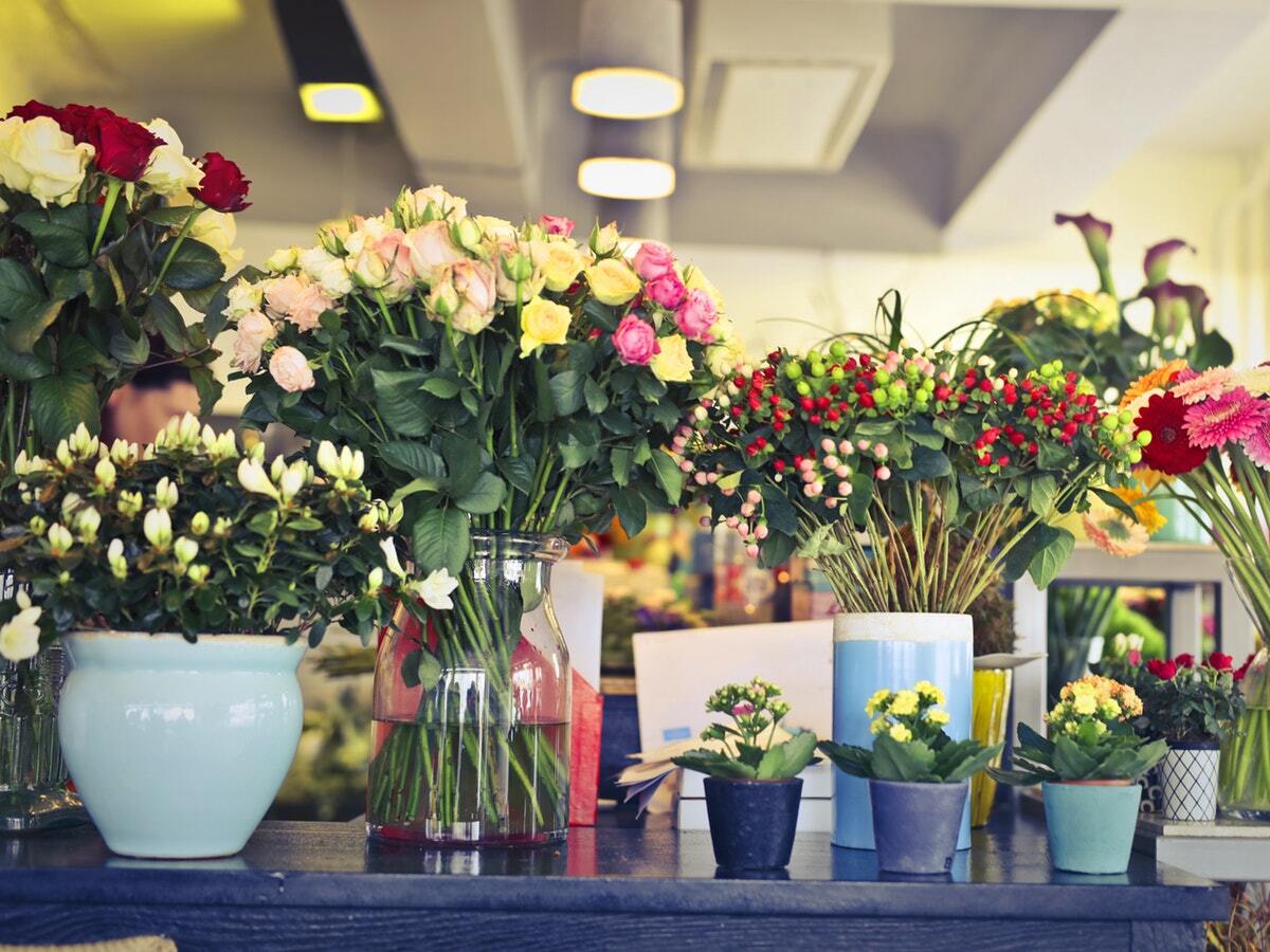 Flower arrangements to incorporate colour