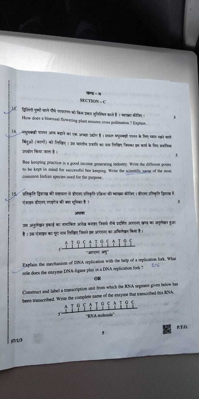 Question CBSE ... 12th - of Class Board Paper Biology 2019 Times