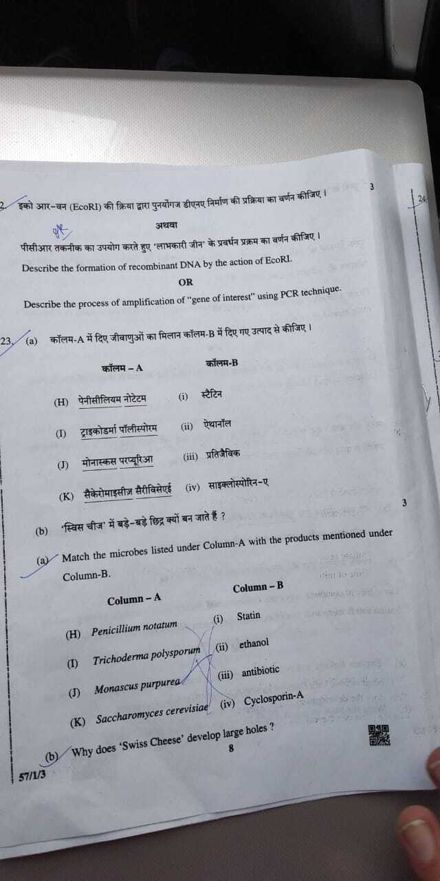 ... 12th Biology - Question Paper Class Board Times CBSE of 2019