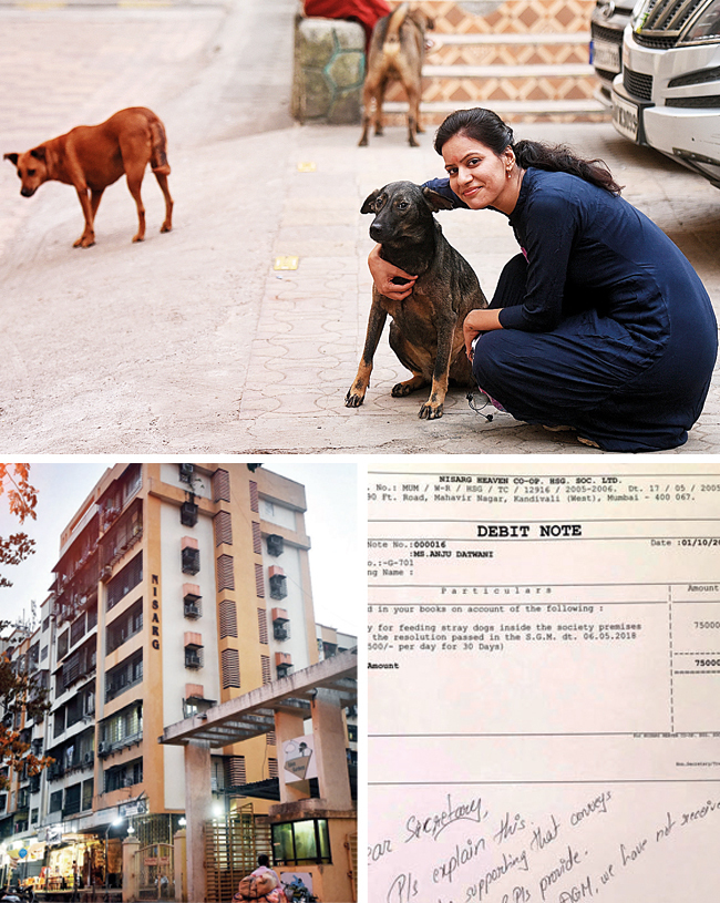 Neha Datwani’s Feb maintenance bill amounts to Rs 3,26,818; Nisarg CHS (above left) began levying the charges in July last year; the society’s debit note (above right) stating the fee for feeding strays