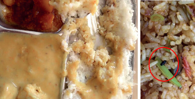 (L) The dal that was allegedly thickened using starch; (R) a fly in a plate of fried rice (both the photographs were provided by students) (L) The dal that was allegedly thickened using starch; (R) a fly in a plate of fried rice (both the photographs were provided by students)