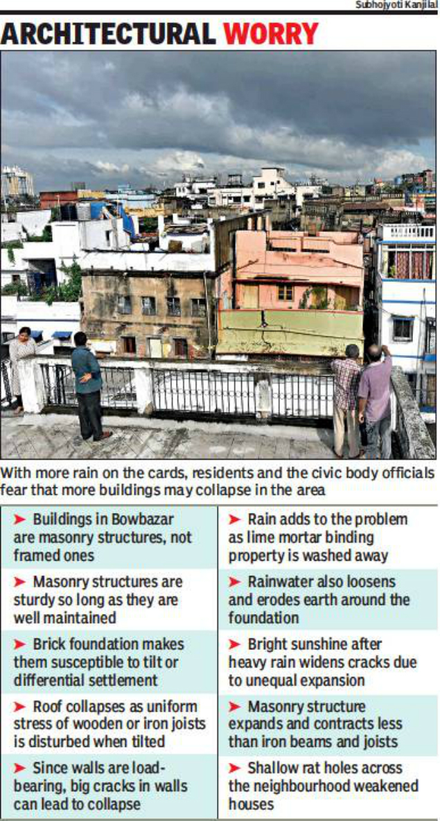 Kolkata Rains Rats Pose Twin Threats To Buildings Kolkata News Times Of India