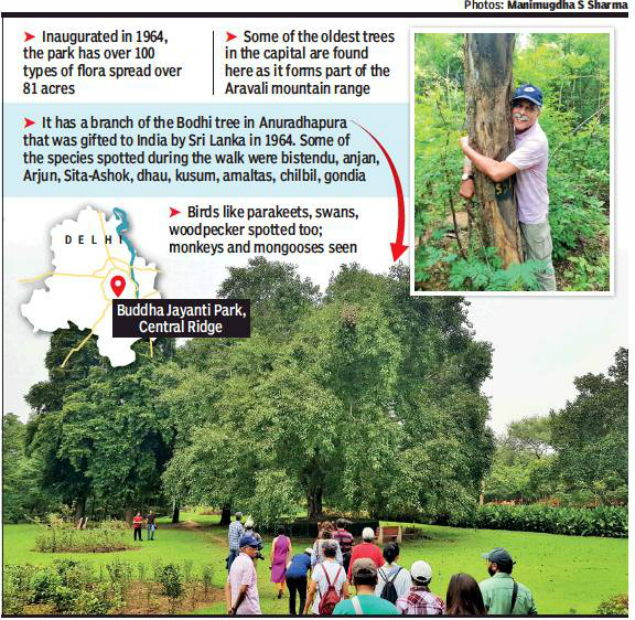 At Buddha Jayanti Park A Walk To Discover Delhi S Natural