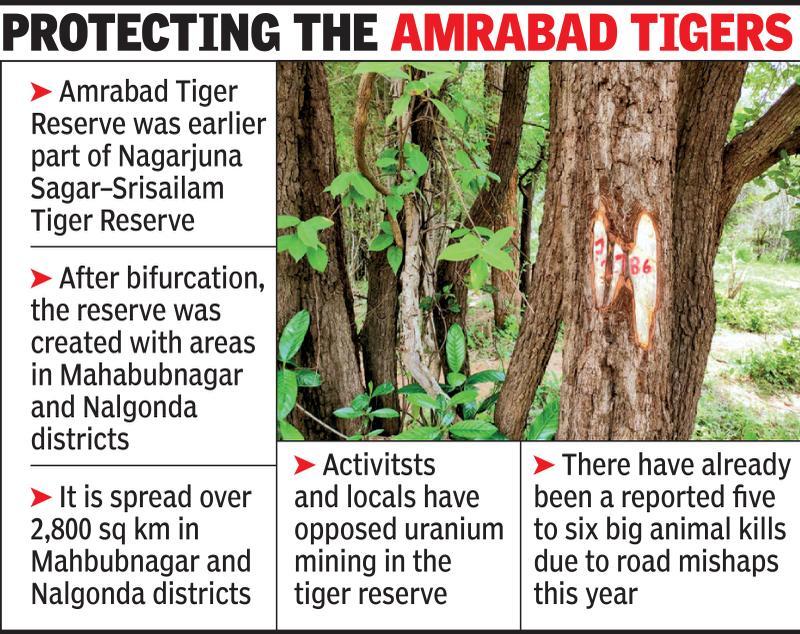 T forest dept against chopping 15k trees in tiger reserve for highway