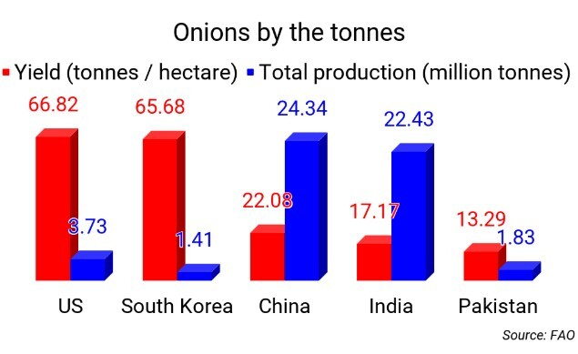 Onion Price Chart India