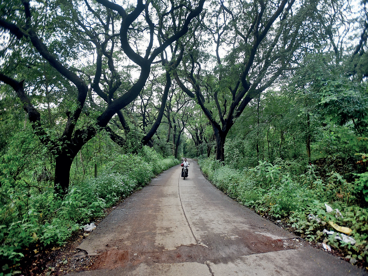 Have you met the hitchhiking ghost of Aarey Milk Colony