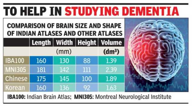 Brain info