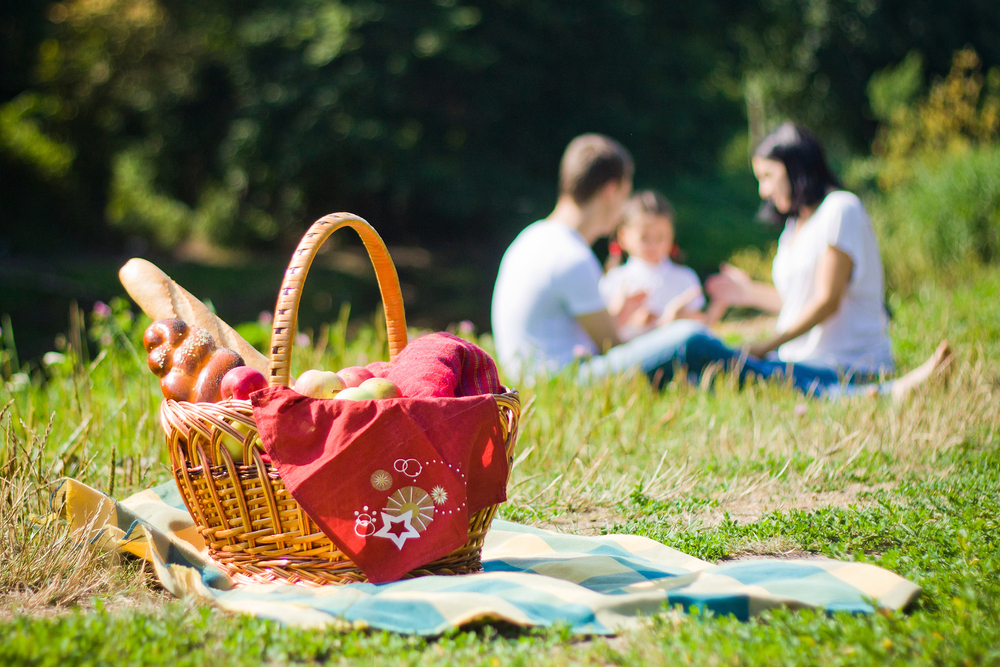 picnic basket