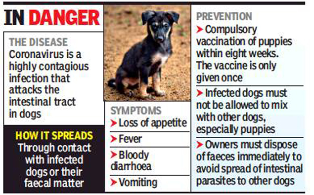 pets vaccine