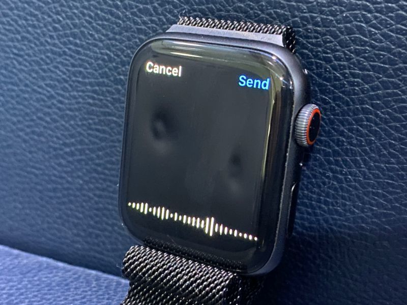 apple watch stuck in recovery mode