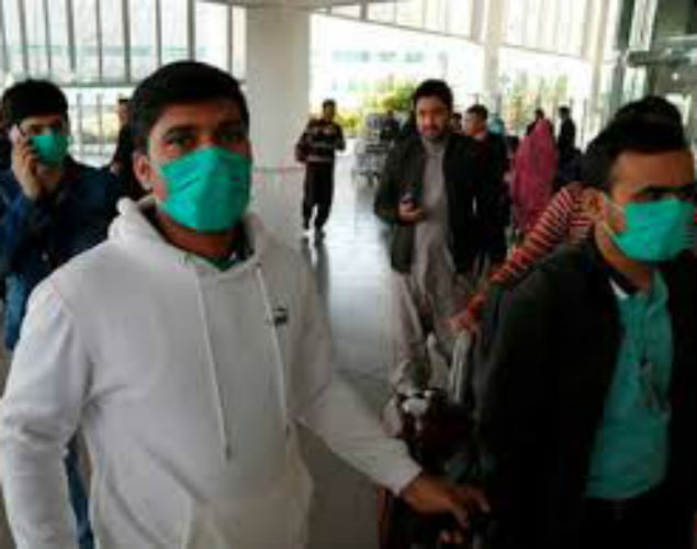 Pak virus