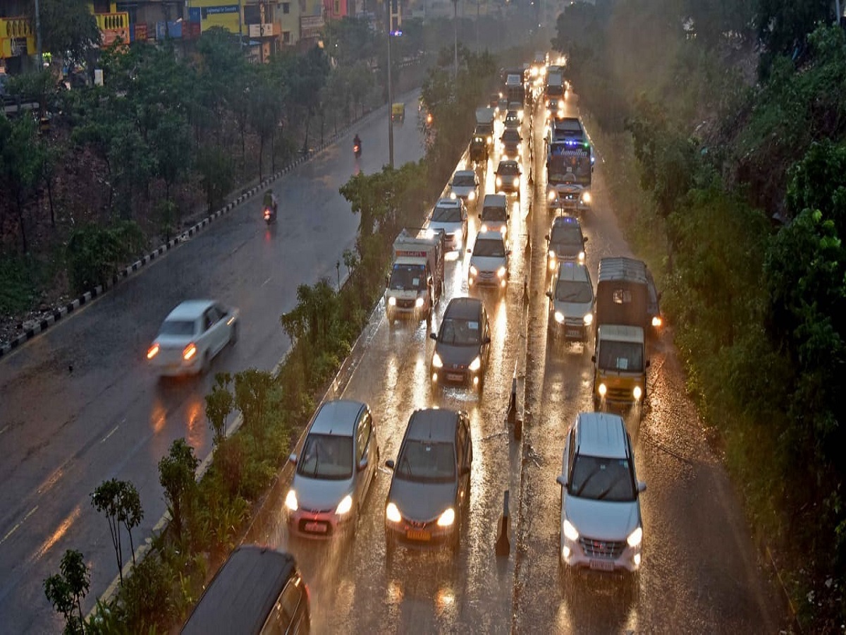 45 Trees Uprooted Due To Heavy Rain In Bengaluru