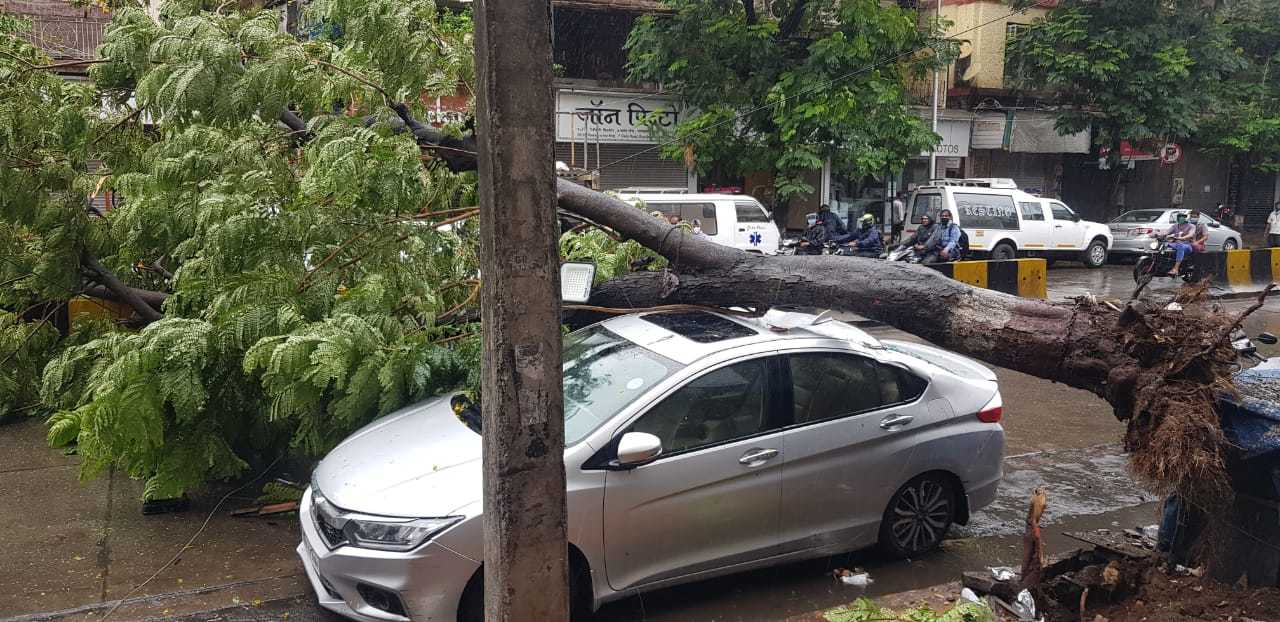 Tree collapses on a car in Byculla.