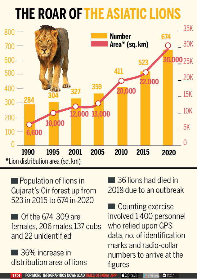 Roaring success: Population of Asiatic lions in India up 29% in 5 ...