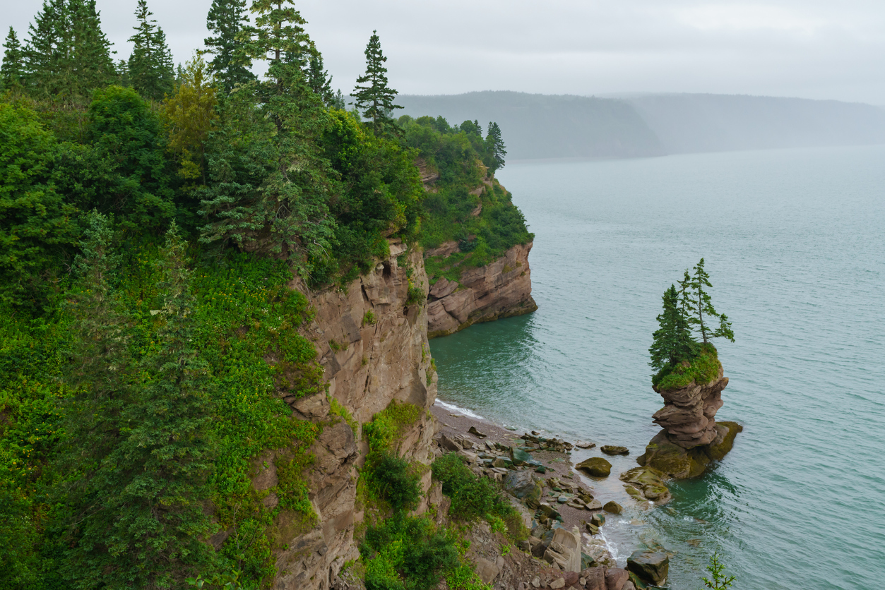 Bay of Fundy - New World Encyclopedia