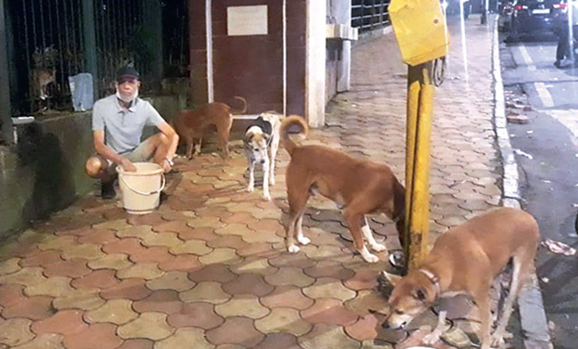 The Malabar Hill Citizens’ Forum refused to allow animal feeders inside Priyadarshini Park, citing new Covid-regulations