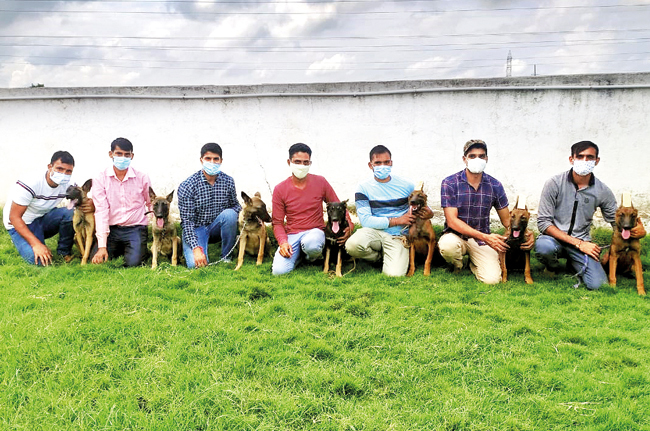 Sept nouvelles formations Malinoises belges à Pune