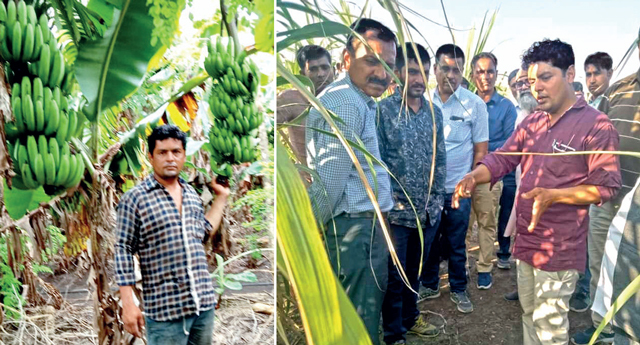 (R) Ashwin explains farming technique (R) Ashwin explains farming technique