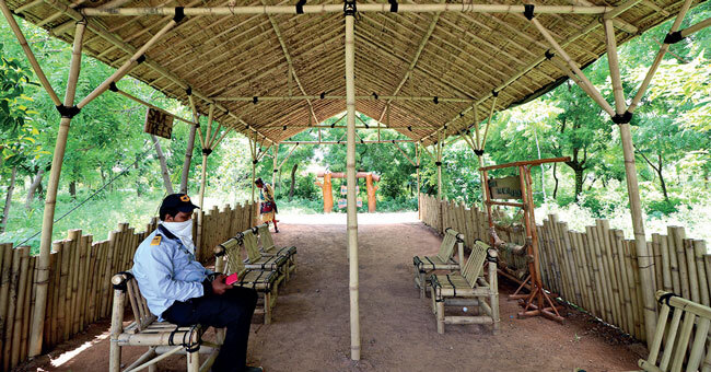Thanks to the dense canopies, the park resembles a mini-forest