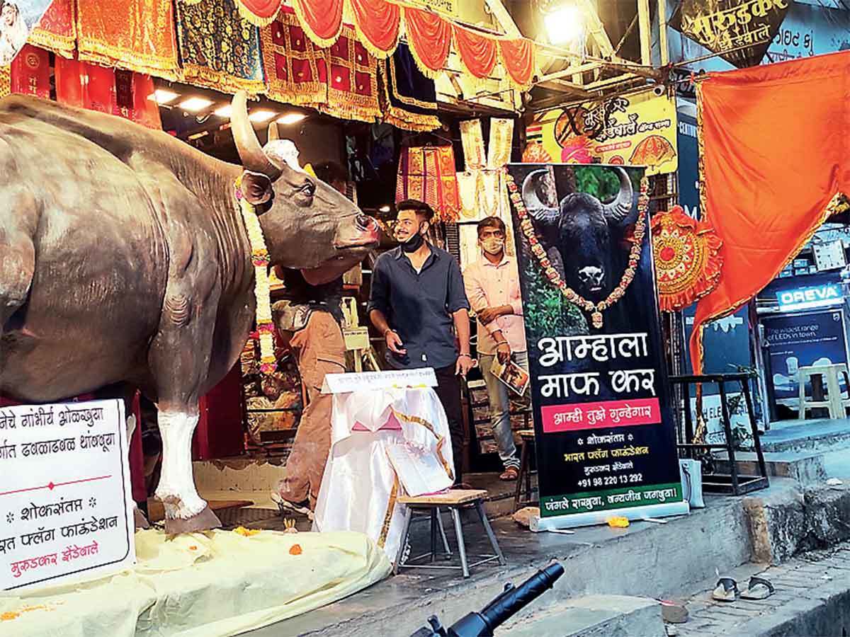 Posters expressing guilt for Gaur's tragic death.