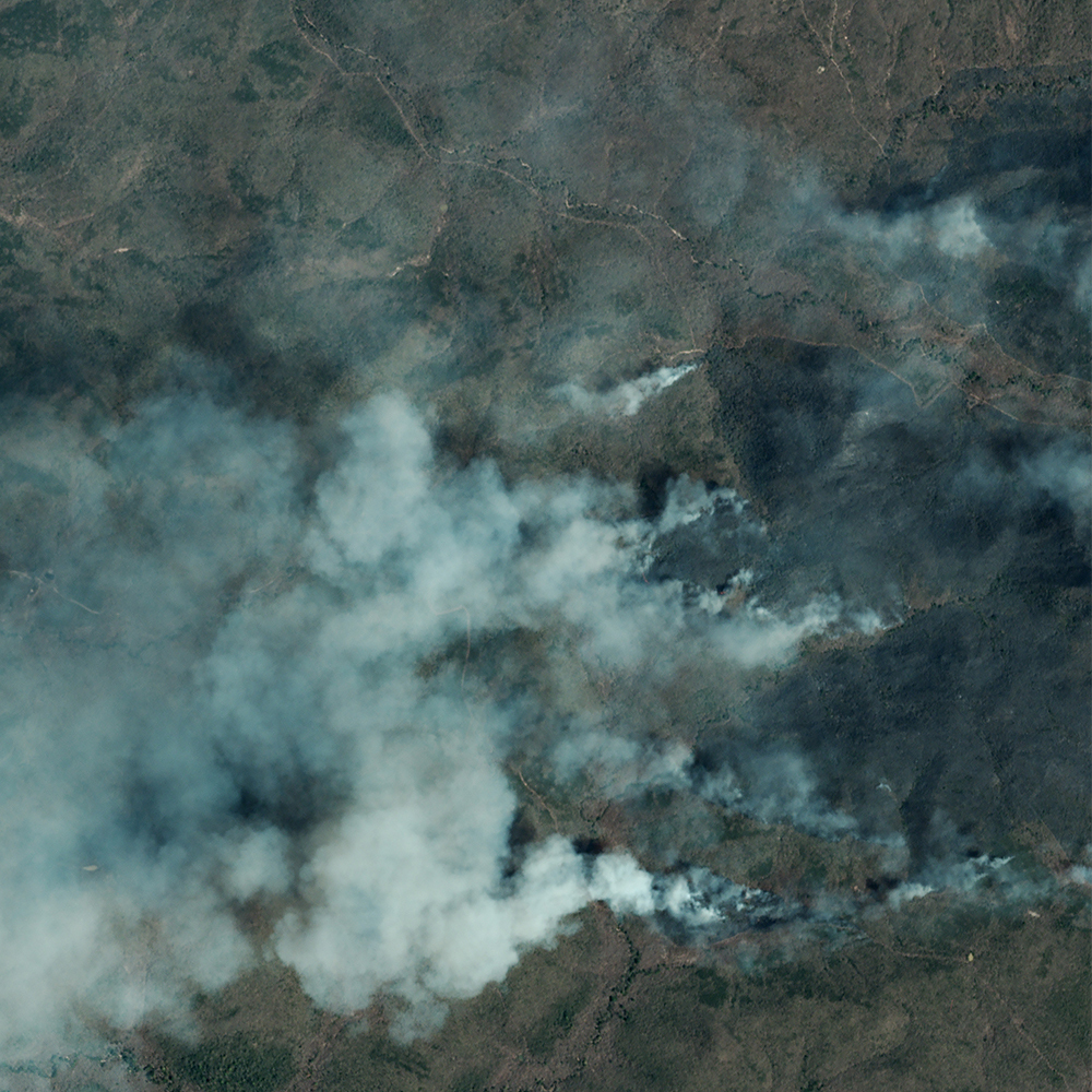 tamilnadu_fire_20190225_rgb_4399(1000x1000)