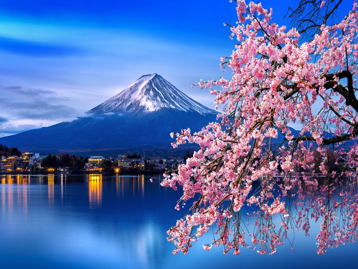 Cherry Blossoms In This Japanese Town Are Now In Full Bloom, And