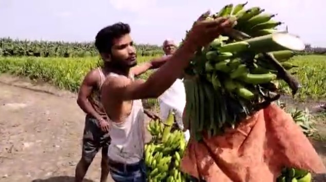 Four years after national bravery award, youth toils as banana loader for a living