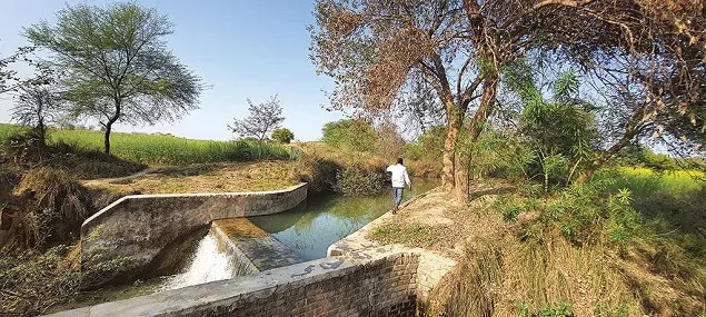 CSE Picture 1-Himmatpura, UP, rooftop water harvesting and irrigated farmlands