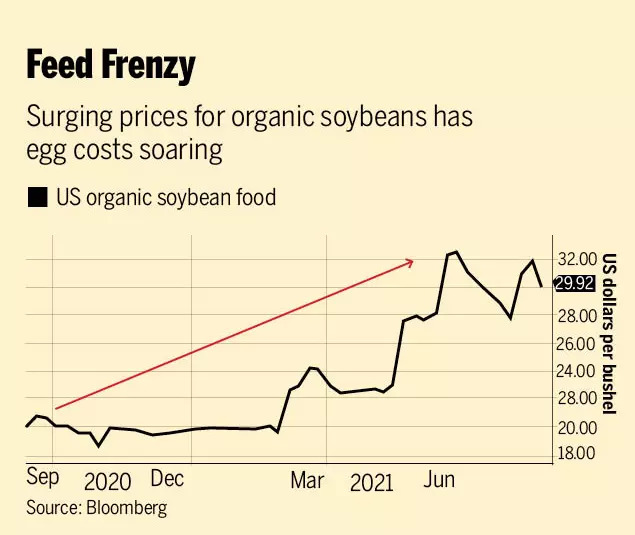 bloomberg (4)