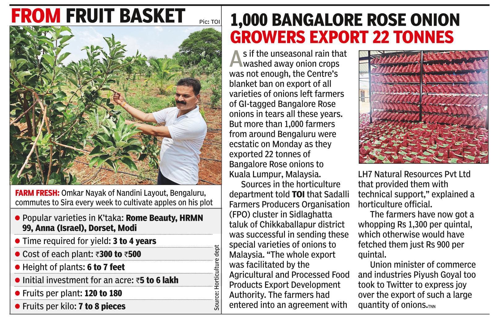 Find juicy apples growing in Bengaluru’s neighbourhood