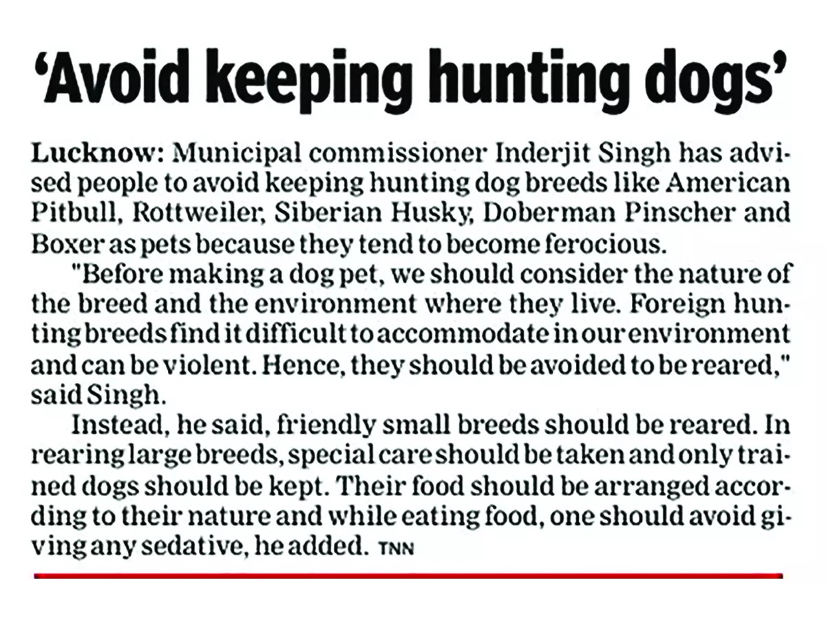 Citing a recent case of a pet pitbull attack , the Lucknow Nagar Nigam was quick to issue an advisory (left) which stated that ‘people should avoid keeping hunting dog breeds like American pitbull or rottweiler as pets because they tend to become ferocious’