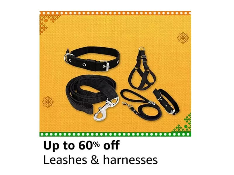 Leashes &amp; harnesses