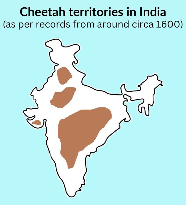 Cheetah territory in India (1)