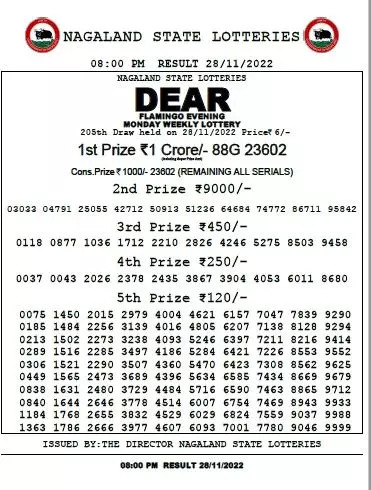 Nagaland Lottery results: Winning numbers of Dear Flamingo Evening results