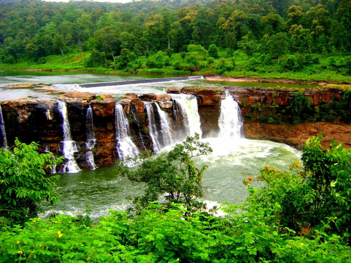 Vansda National Park, Gujarat's hidden gem | Times of India Travel