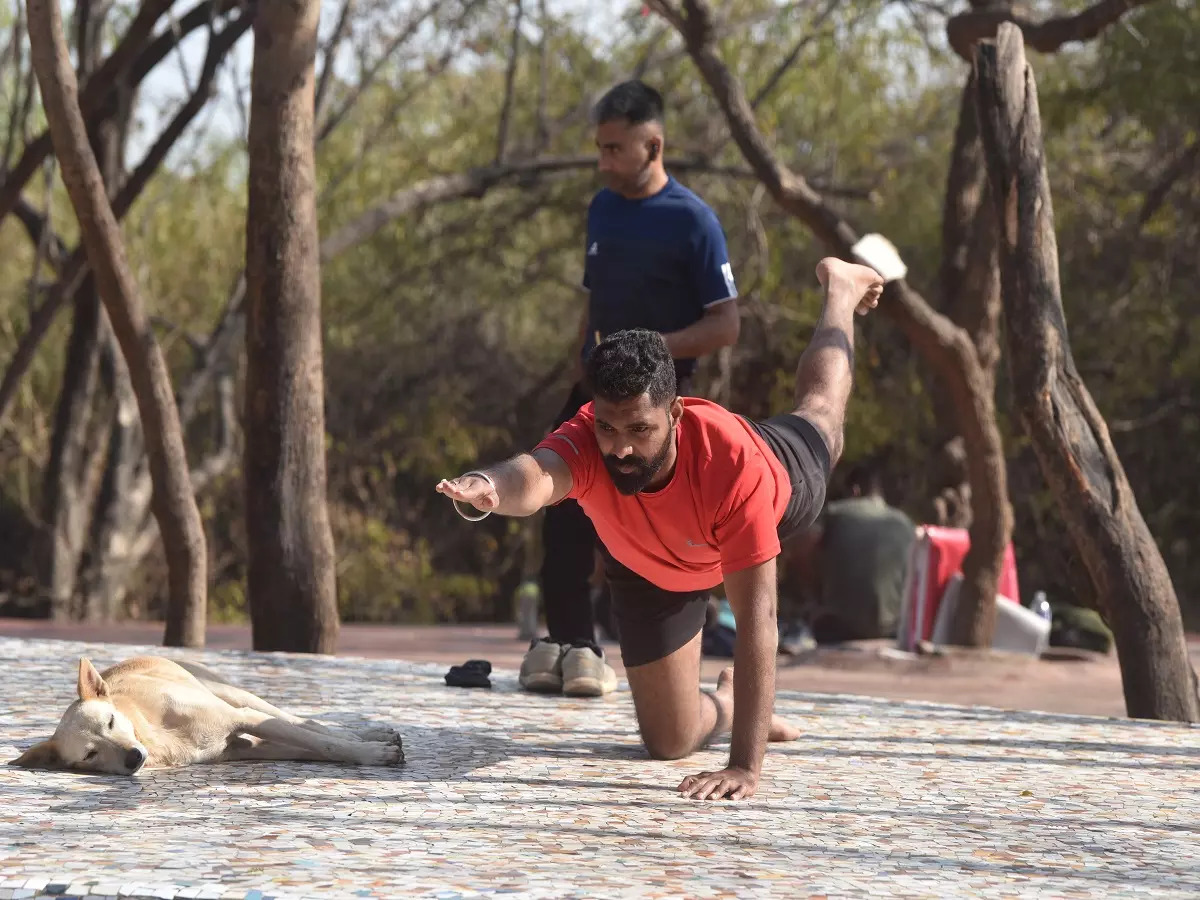 Yoga is a great way to keep the body moving
