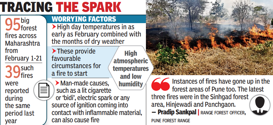 Forest fires this Feb up 100% in state amid high day temps
